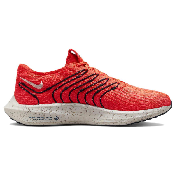 Nike Pegasus Turbo Next Nature