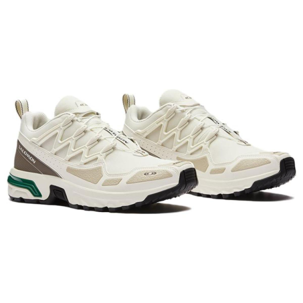 SALOMON ACS +
