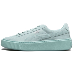 PUMA Platform Reset