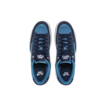 Nike SB Adversary