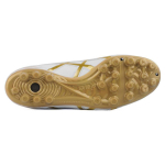 Asics DS LIGHT AG（ ）