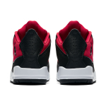 Jordan Courtside 23
