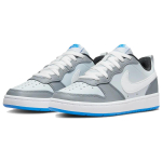 Nike Court Borough Low 2 SE