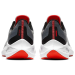 Nike Zoom Winflo 7