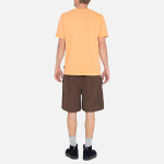 Stussy FW24 WATER SHORT BIG BASIC Logo