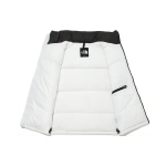 THE NORTH FACE 1996 Eco Nuptse