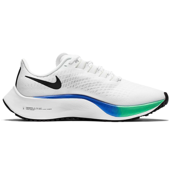Nike Pegasus 37