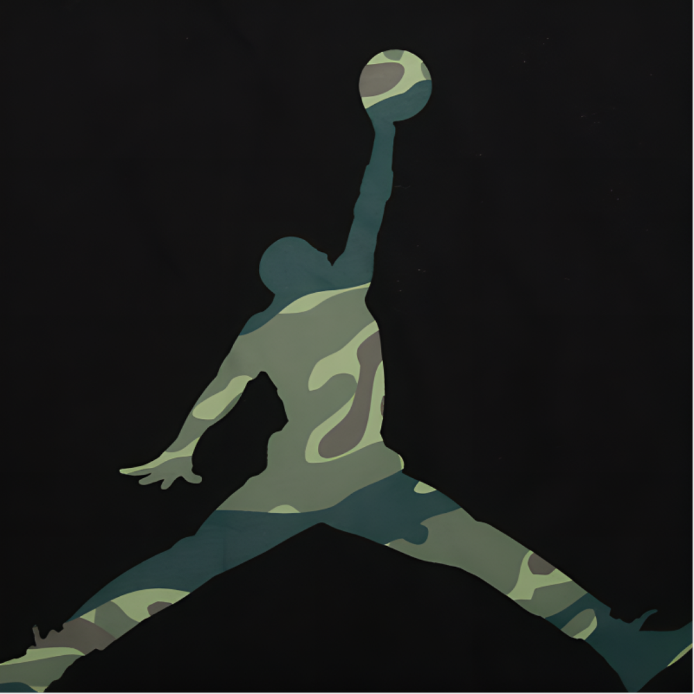 Jordan Jumpman Air LOGO T