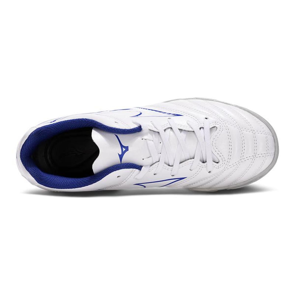 Mizuno Monarcida