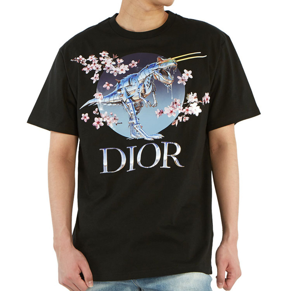 DIOR x Sorayama T