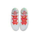 Diana Taurasi x Nike Lebron 18 Goat 18