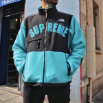 Supreme x /THE NORTH FACE SS19