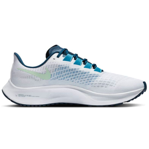 Nike Pegasus 37
