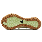 Nike ACG Mountain Fly Low GTX SE