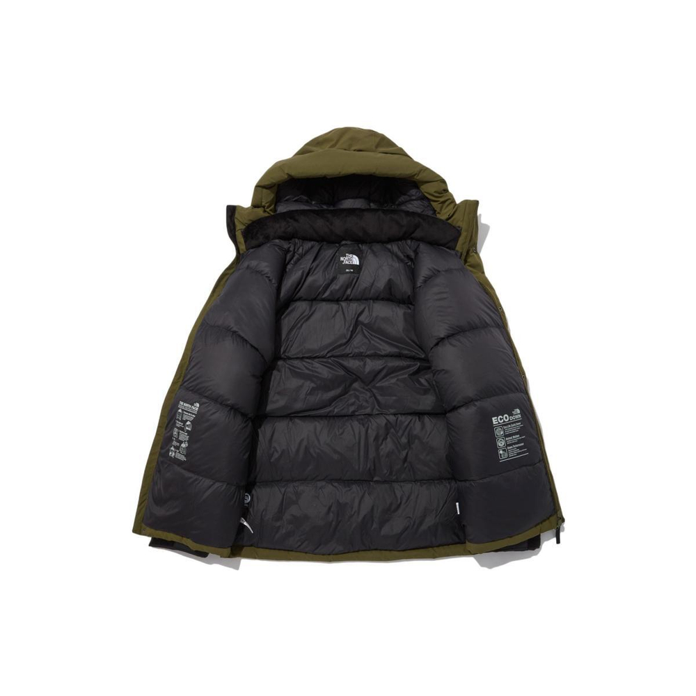 THE NORTH FACE dryvent Logo