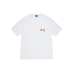 Stussy FW23 CLASSROOM TEE T