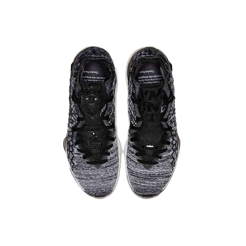 Nike Lebron 17