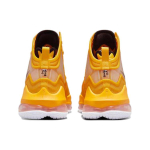 Nike Lebron 19 19
