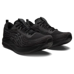 Asics EvoRide