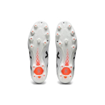 Asics Ds Light Club FG（ ）