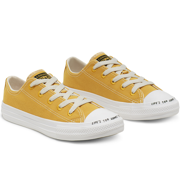 Converse Chuck Taylor All Star Renew Low Top