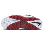 Nike Lebron 3 QS Home
