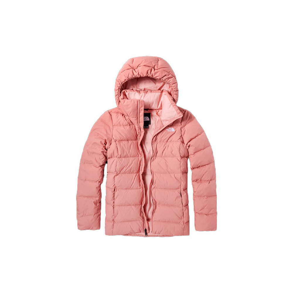 THE NORTH FACE Logo 550