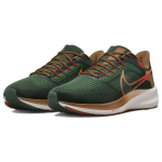 Nike Air Zoom Pegasus 39 "a.i.r. hola lou"