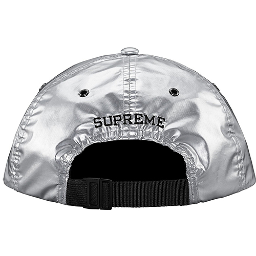 Supreme SS18 The North Face Metallic 6-Panel