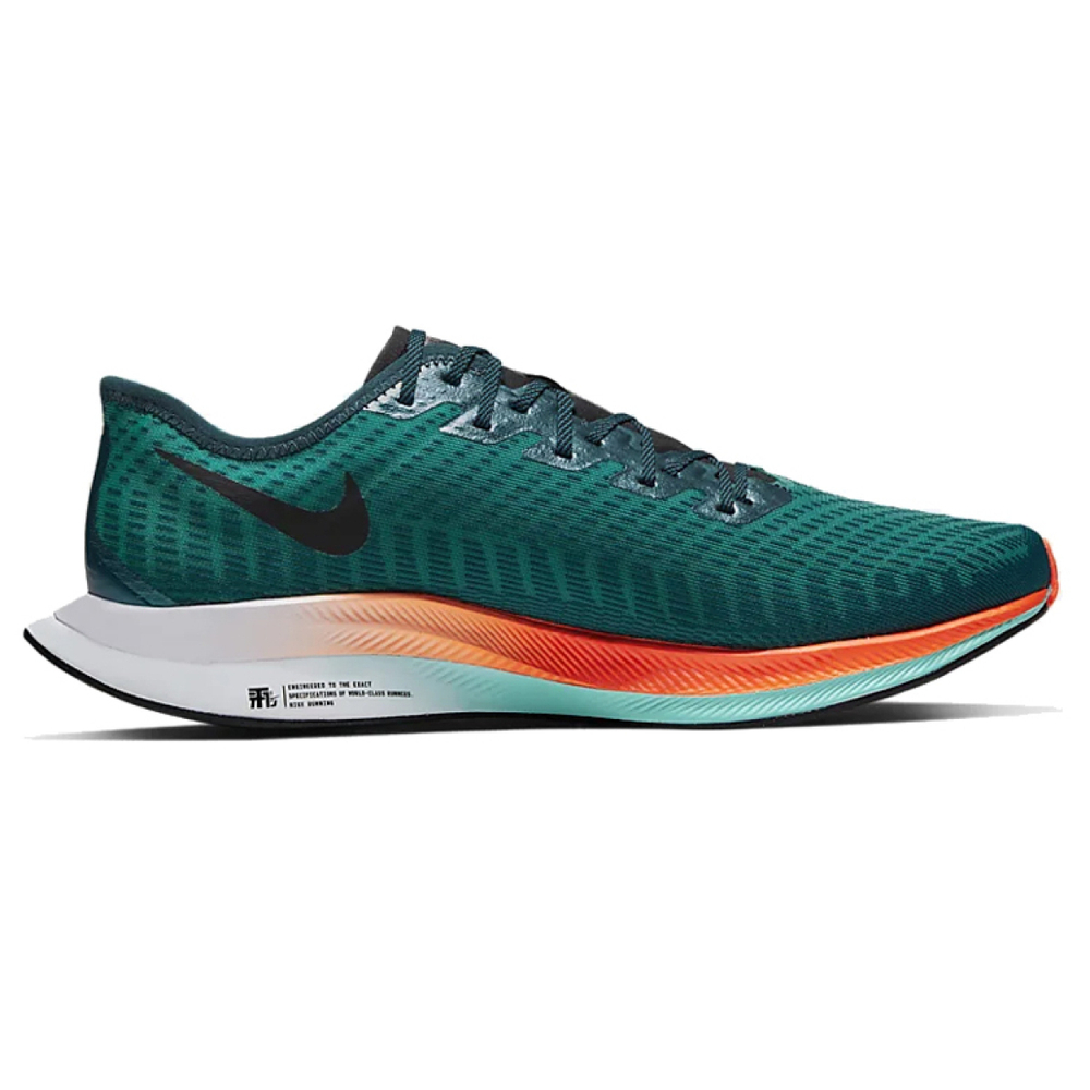 Nike Pegasus turbo 2