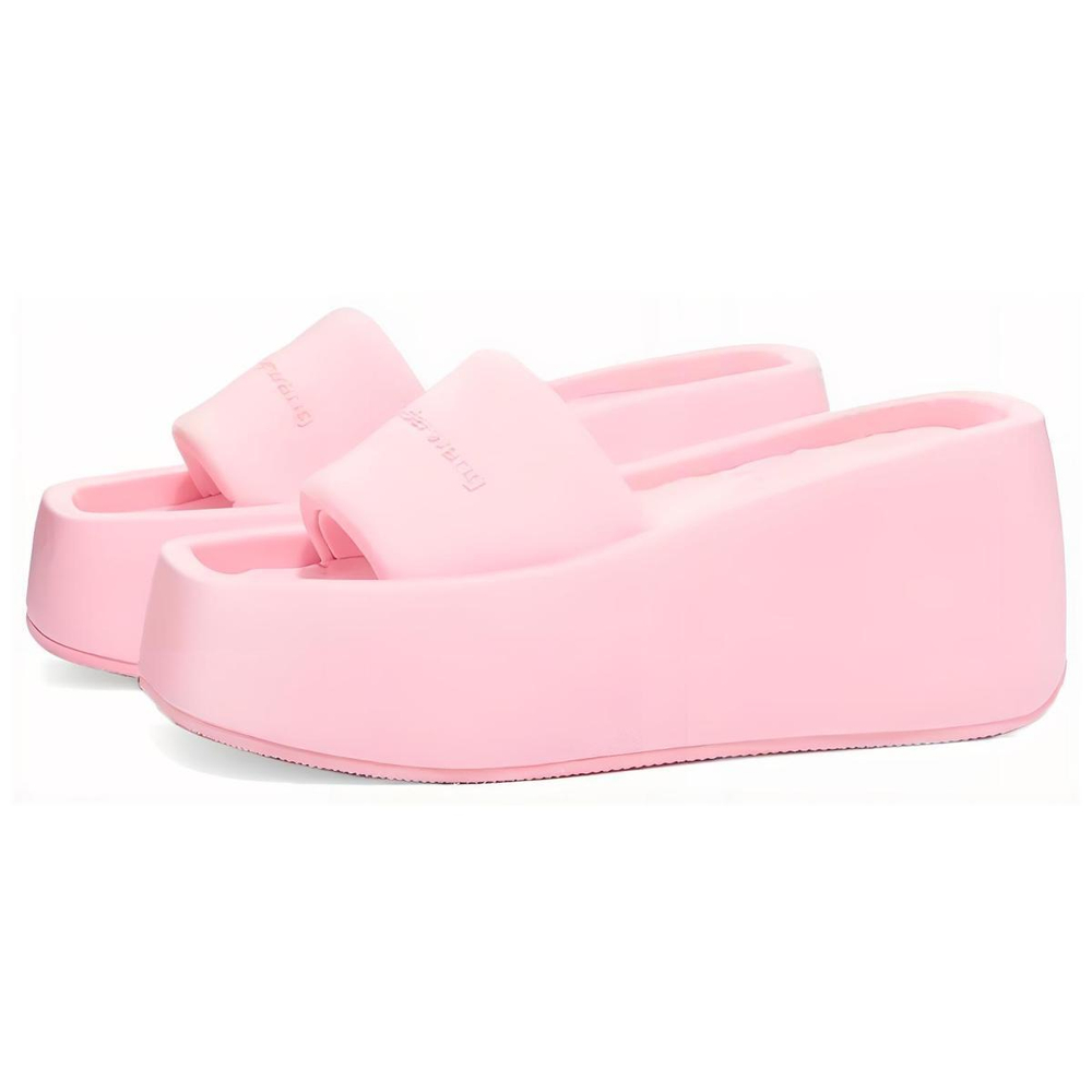Alexander wang taji