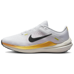 Nike Air Winflo 10