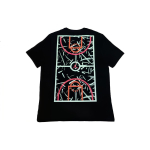 Jordan T
