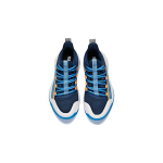 Anta