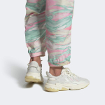 Adidas originals Ozweego