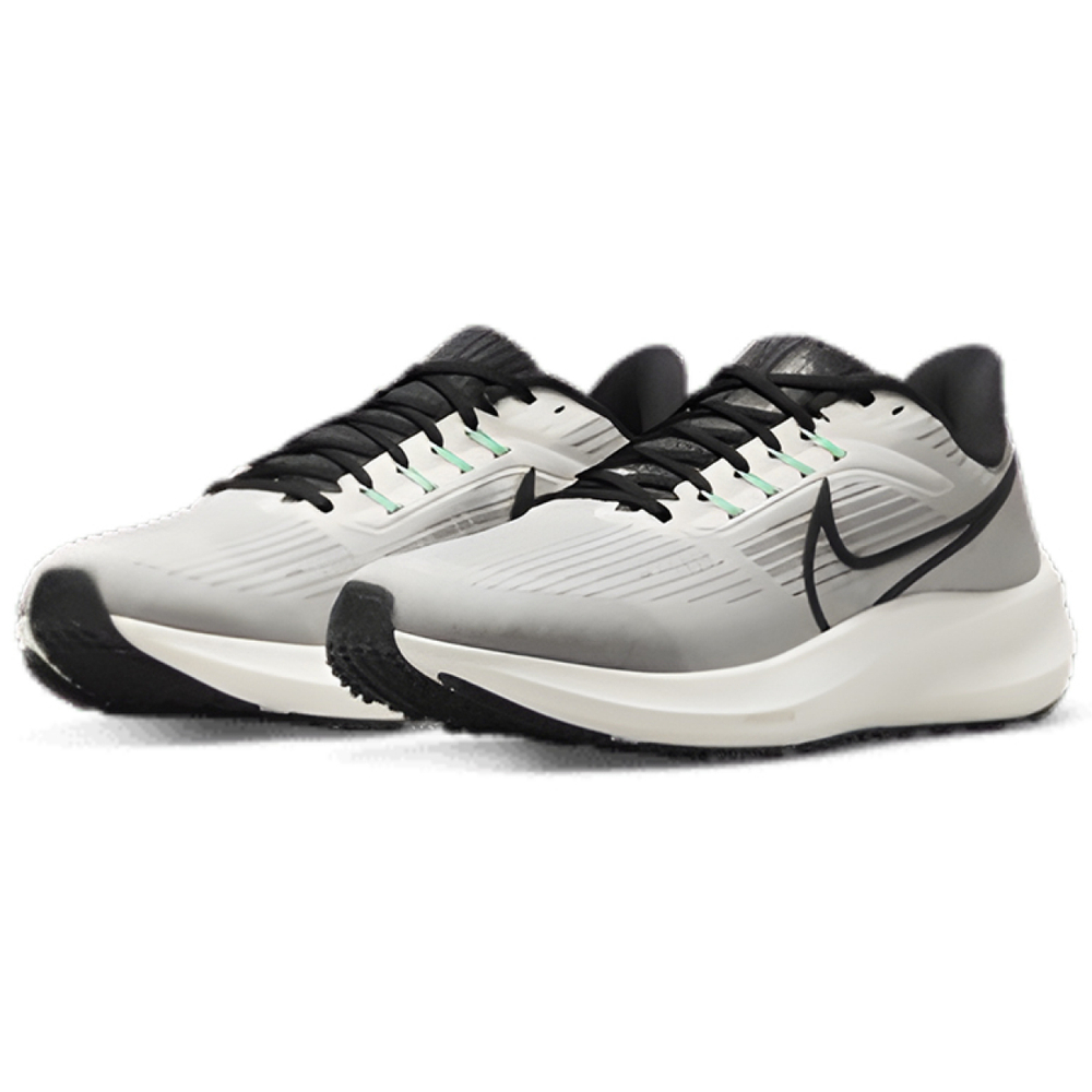 Nike Air Zoom Pegasus 39