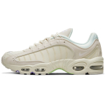 Nike Air Max Tailwind