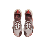 Nike Pegasus Trail 4 Gore-Tex