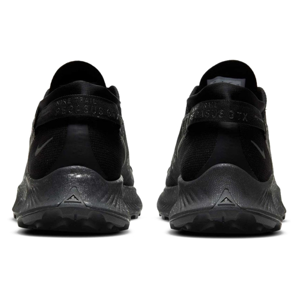 Nike Pegasus Trail 2 GORE-TEX