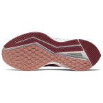 Nike Zoom Winflo 6