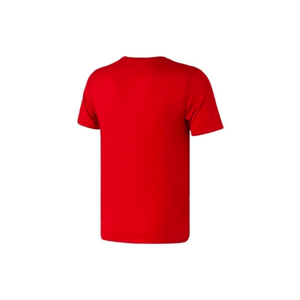 Jordan Iconic T