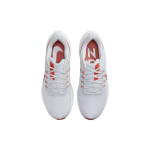 Nike Air Zoom Pegasus 39