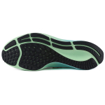 Nike Pegasus 37