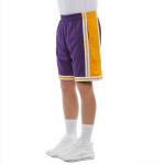 Mitchell & Ness NBA SW 84-85 logo