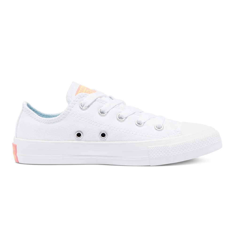 Converse Chuck Taylor All Star Low Top