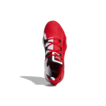Adidas D lillard 6