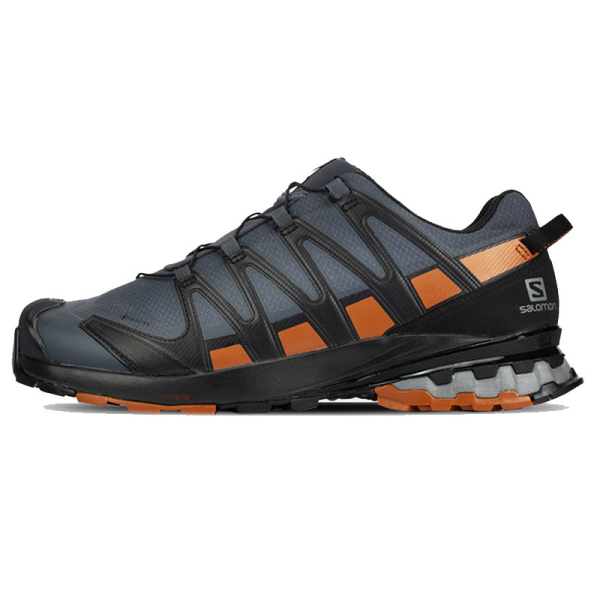 SALOMON XA Pro 3D V8
