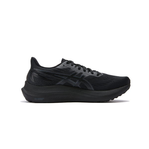 Asics GT-2000 12