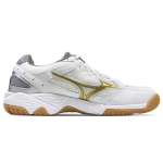 Mizuno