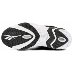 Reebok Shaqnosis OG 2019